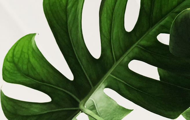 Bioidentical Hormone Therapy​